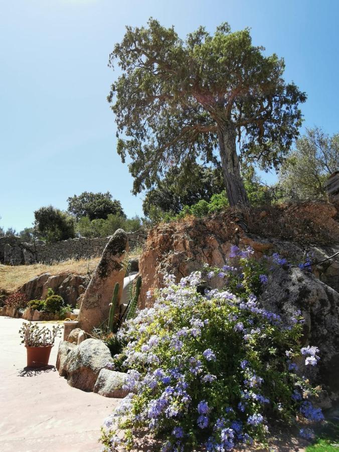 Locanda San Giacomo Sant'Antonio di Gallura Buitenkant foto