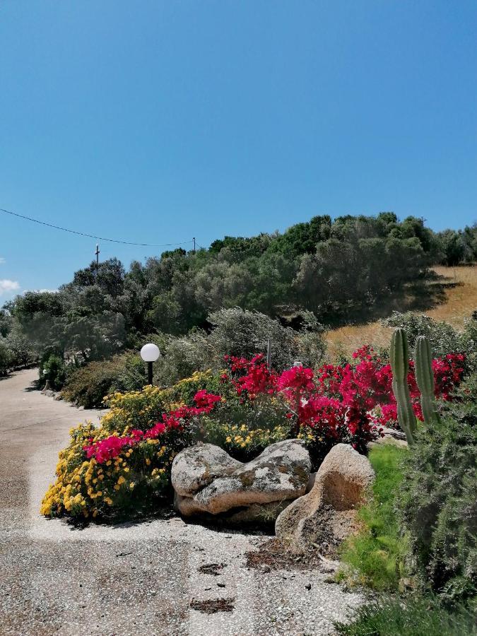 Locanda San Giacomo Sant'Antonio di Gallura Buitenkant foto