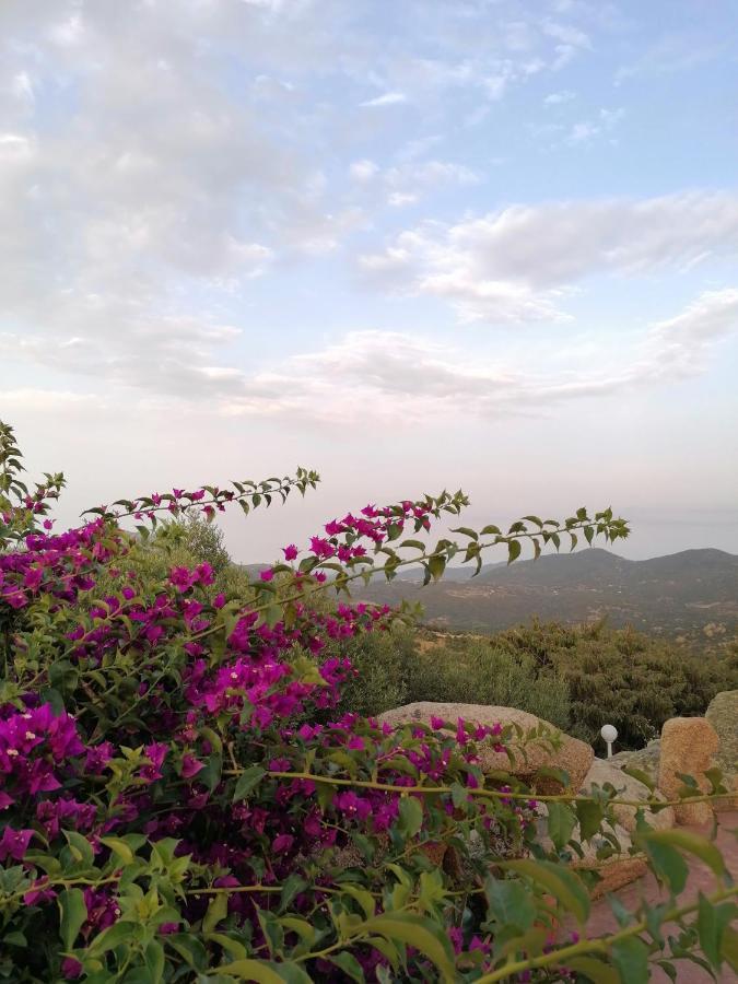 Locanda San Giacomo Sant'Antonio di Gallura Buitenkant foto