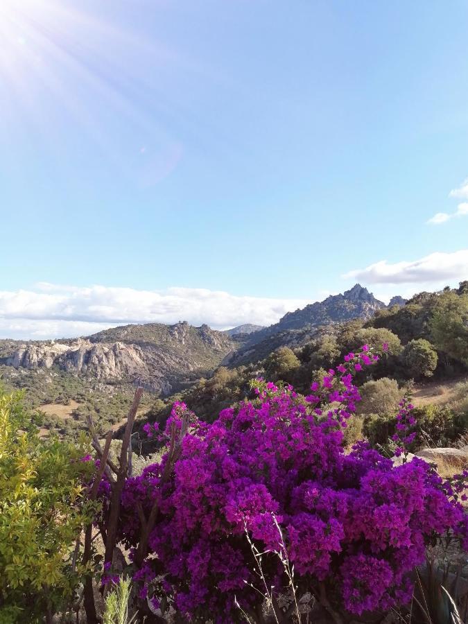 Locanda San Giacomo Sant'Antonio di Gallura Buitenkant foto